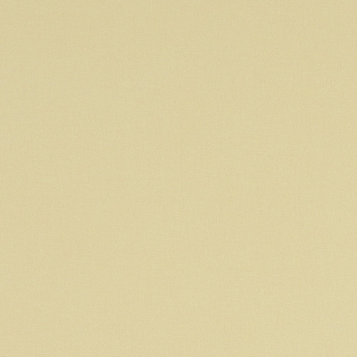 Alora Straw by Clarke And Clarke Fabric CLARKE & CLARKE ALORA COTTON - 100% Spain HEAVY Horizontal: 0 and Vertical: 0 54 - Fabric Carolina -