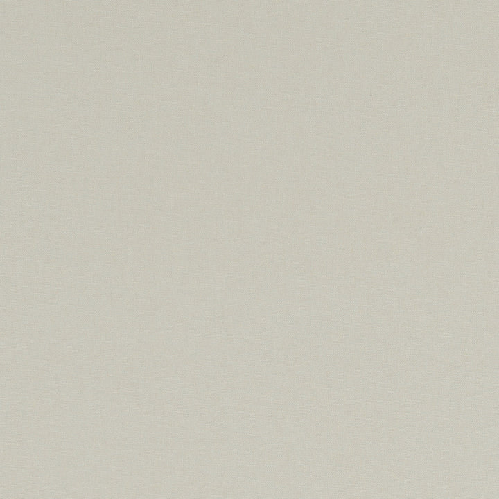 F1097 64 Alora String by Clarke and Clarke Fabric STUDIO G COTTON - 100% Spain HEAVY Horizontal: 0 and Vertical: 0 54  - Fabric Carolina -
