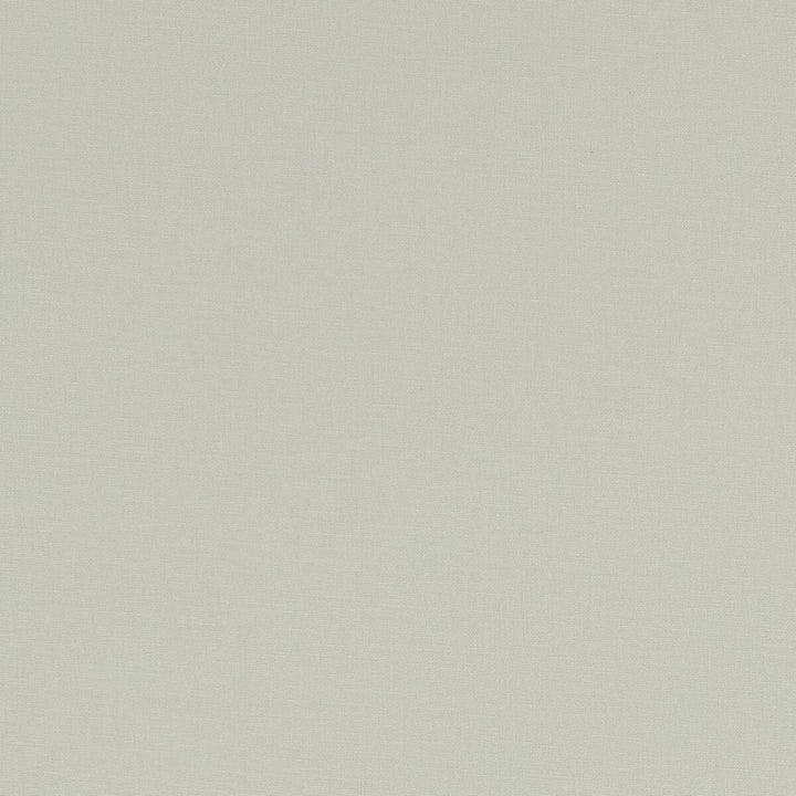 Alora String by Clarke And Clarke Fabric CLARKE & CLARKE ALORA COTTON - 100% Spain HEAVY Horizontal: 0 and Vertical: 0 54 - Fabric Carolina -