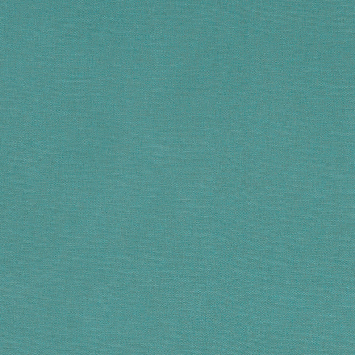 F1097 65 Alora Surf by Clarke and Clarke Fabric STUDIO G COTTON - 100% Spain HEAVY Horizontal: 0 and Vertical: 0 54  - Fabric Carolina -
