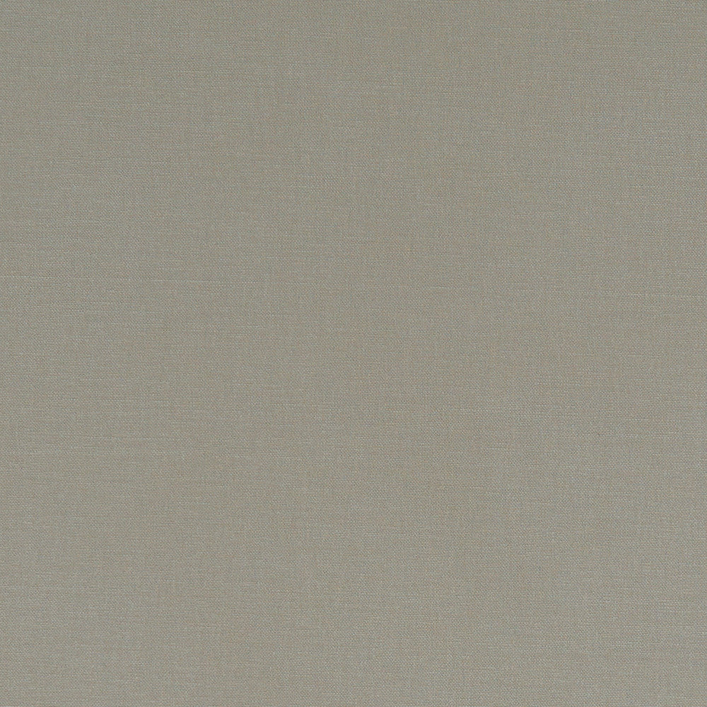 F1097 66 Alora Taupe by Clarke and Clarke Fabric STUDIO G COTTON - 100% Spain HEAVY Horizontal: 0 and Vertical: 0 54  - Fabric Carolina -