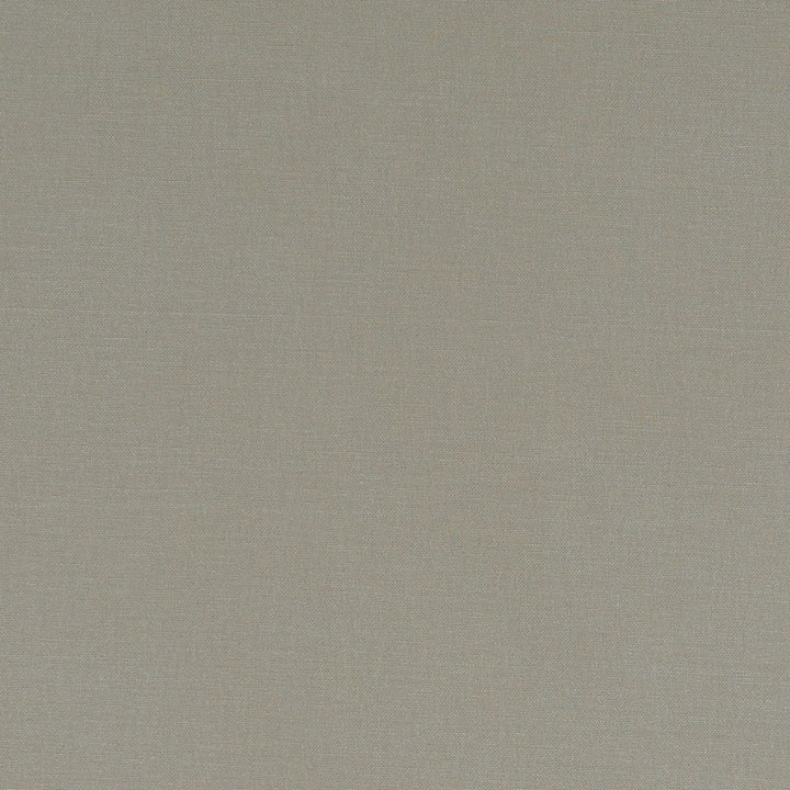 F1097 66 Alora Taupe by Clarke and Clarke Fabric STUDIO G COTTON - 100% Spain HEAVY Horizontal: 0 and Vertical: 0 54  - Fabric Carolina -