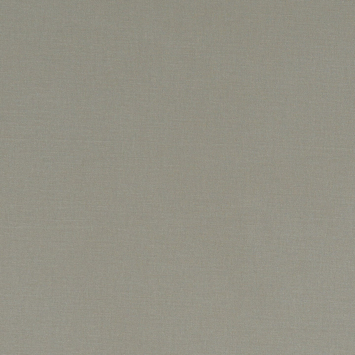 Alora Taupe by Clarke And Clarke Fabric CLARKE & CLARKE ALORA COTTON - 100% Spain HEAVY Horizontal: 0 and Vertical: 0 54 - Fabric Carolina -