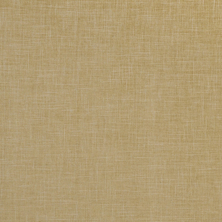 Albany Antique by Clarke And Clarke Fabric CLARKE & CLARKE ALBANY & MORAY POLYESTER - 78%;COTTON - 22% India HEAVY Horizontal: 0 and Vertical: 0 55 - Fabric Carolina -
