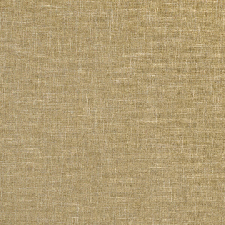 Albany Antique by Clarke And Clarke Designer Fabric CLARKE & CLARKE ALBANY & MORAY POLYESTER - 78%;COTTON - 22% India HEAVY Horizontal: 0 and Vertical: 0 55 - Swanky Fabrics -