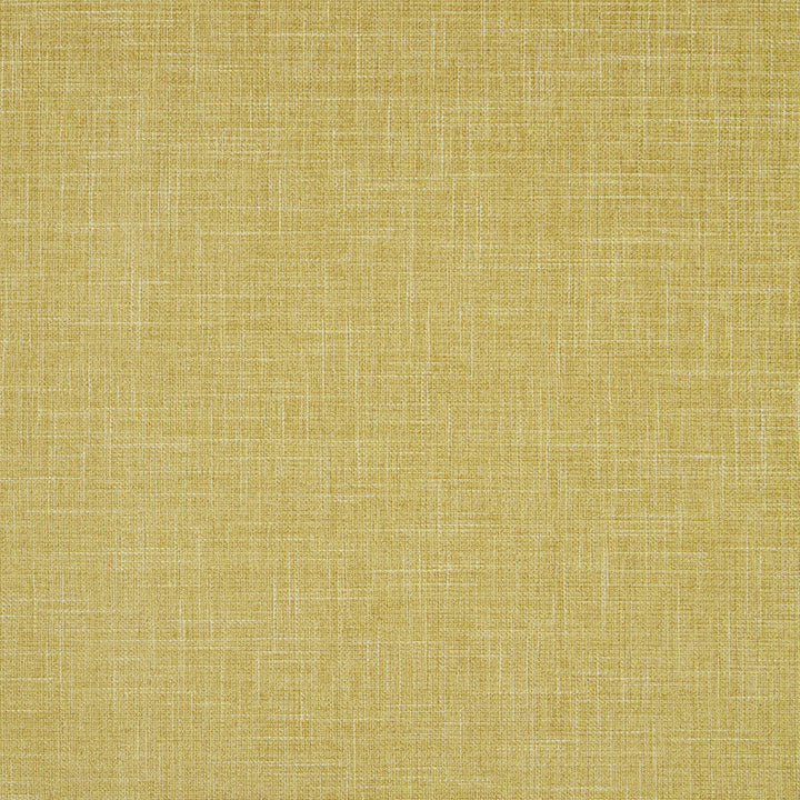 Albany Chartreuse by Clarke And Clarke Fabric CLARKE & CLARKE ALBANY & MORAY POLYESTER - 78%;COTTON - 22% India HEAVY Horizontal: 0 and Vertical: 0 55 - Fabric Carolina -