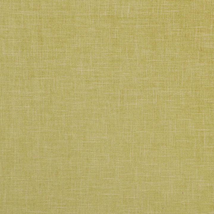 Albany Citron by Clarke And Clarke Fabric CLARKE & CLARKE ALBANY & MORAY POLYESTER - 78%;COTTON - 22% India HEAVY Horizontal: 0 and Vertical: 0 55 - Fabric Carolina -