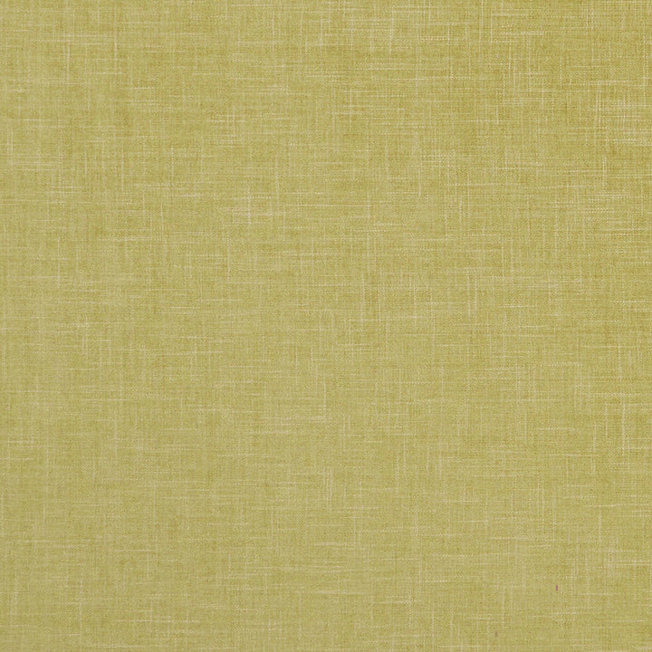 Albany Citron by Clarke And Clarke Designer Fabric CLARKE & CLARKE ALBANY & MORAY POLYESTER - 78%;COTTON - 22% India HEAVY Horizontal: 0 and Vertical: 0 55 - Swanky Fabrics -