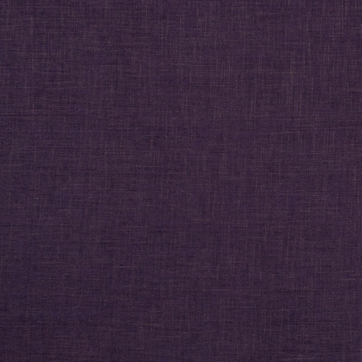 F1098 13 Albany Grape by Clarke and Clarke Fabric CLARKE & CLARKE POLYESTER - 78%;COTTON - 22% India HEAVY Horizontal: 0 and Vertical: 0 55  - Fabric Carolina -