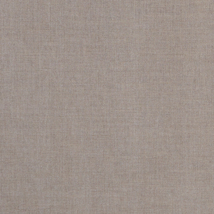 F1098 20 Albany Mink by Clarke and Clarke Fabric CLARKE & CLARKE POLYESTER - 78%;COTTON - 22% India HEAVY Horizontal: 0 and Vertical: 0 55  - Fabric Carolina -
