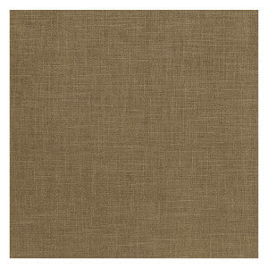 Albany Moss by Clarke And Clarke Fabric