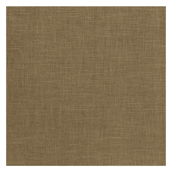 Albany Moss by Clarke And Clarke Fabric Clarke And Clarke Fabric Albany MossFabric CLARKE & CLARKE ALBANY & MORAY POLYESTER - 78%;COTTON - 22% India </p><p>Repeat: H: 0, V: 0 55 - Fabric Carolina -