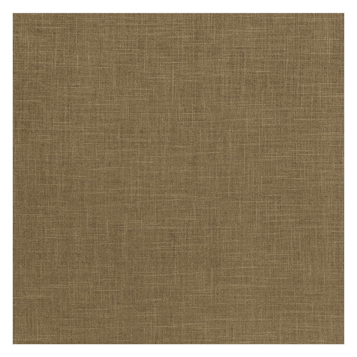 Albany Moss by Clarke And Clarke Designer Fabric CLARKE & CLARKE ALBANY & MORAY POLYESTER - 78%;COTTON - 22% India HEAVY Horizontal: 0 and Vertical: 0 55 - Swanky Fabrics -