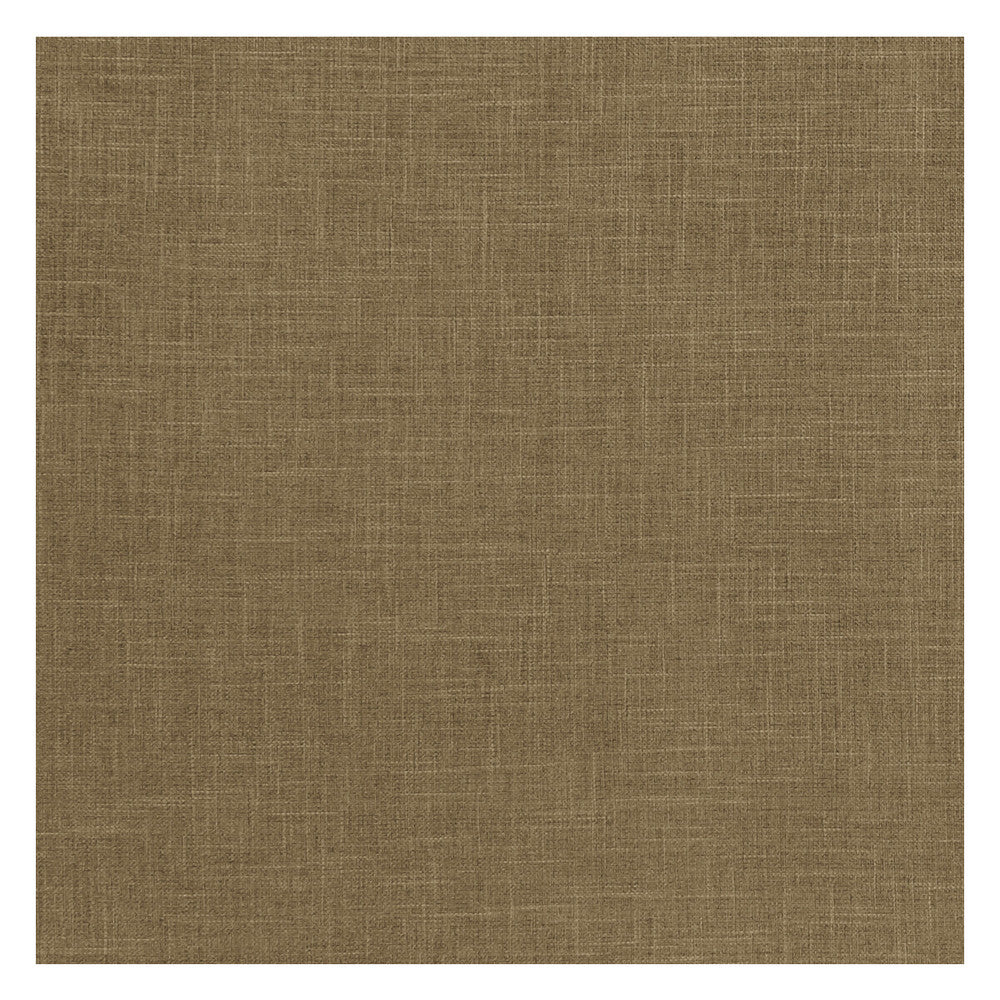 Albany Moss by Clarke And Clarke Fabric CLARKE & CLARKE ALBANY & MORAY POLYESTER - 78%;COTTON - 22% India HEAVY Horizontal: 0 and Vertical: 0 55 - Fabric Carolina -