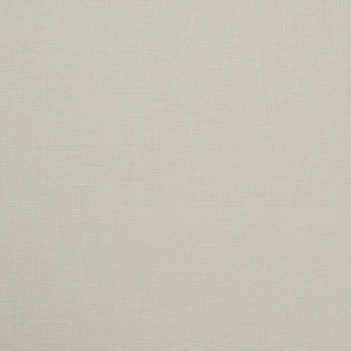Albany Natural by Clarke And Clarke Fabric CLARKE & CLARKE ALBANY & MORAY POLYESTER - 78%;COTTON - 22% India HEAVY Horizontal: 0 and Vertical: 0 55 - Fabric Carolina -