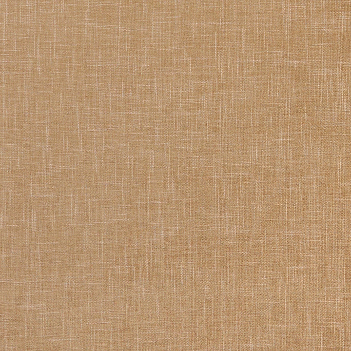 F1098 25 Albany Pecan by Clarke and Clarke Fabric CLARKE & CLARKE POLYESTER - 78%;COTTON - 22% India HEAVY Horizontal: 0 and Vertical: 0 55  - Fabric Carolina -