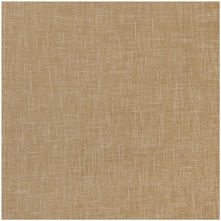 Albany Pecan by Clarke And Clarke Fabric Clarke And Clarke Fabric Albany PecanFabric CLARKE & CLARKE ALBANY & MORAY POLYESTER - 78%;COTTON - 22% India </p><p>Repeat: H: 0, V: 0 55 - Fabric Carolina -