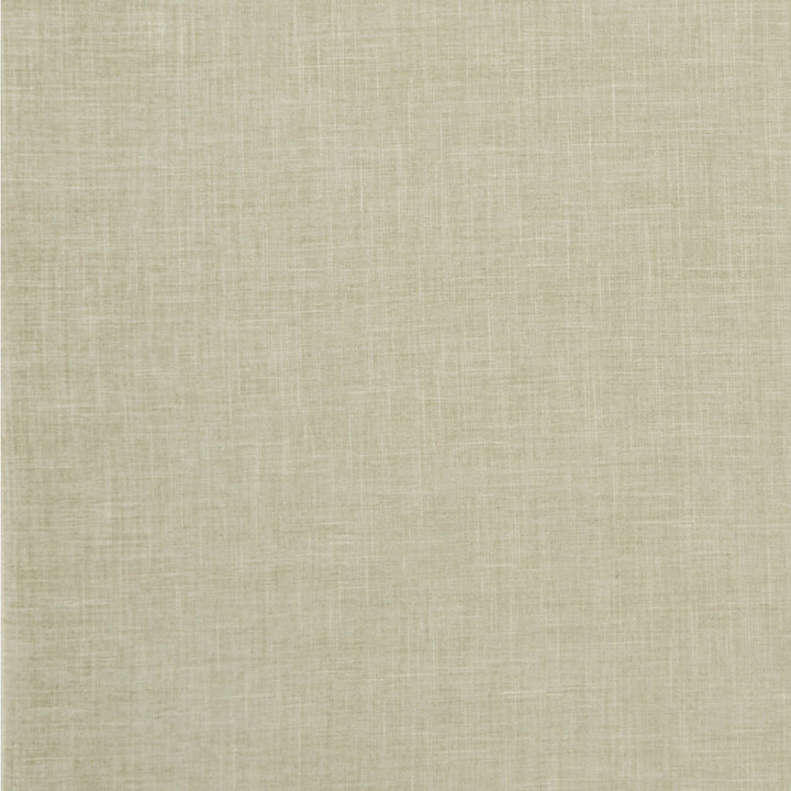Albany Sage by Clarke And Clarke Fabric CLARKE & CLARKE ALBANY & MORAY POLYESTER - 78%;COTTON - 22% India HEAVY Horizontal: 0 and Vertical: 0 55 - Fabric Carolina -