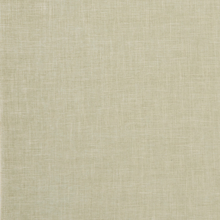 F1098 27 Albany Sage by Clarke and Clarke Fabric CLARKE & CLARKE POLYESTER - 78%;COTTON - 22% India HEAVY Horizontal: 0 and Vertical: 0 55  - Fabric Carolina -