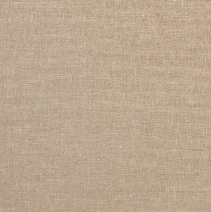 F1098 28 Albany Sand by Clarke and Clarke Fabric CLARKE & CLARKE POLYESTER - 78%;COTTON - 22% India HEAVY Horizontal: 0 and Vertical: 0 55  - Fabric Carolina -