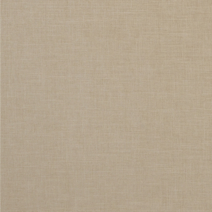 Albany Sand by Clarke And Clarke Fabric CLARKE & CLARKE ALBANY & MORAY POLYESTER - 78%;COTTON - 22% India HEAVY Horizontal: 0 and Vertical: 0 55 - Fabric Carolina -