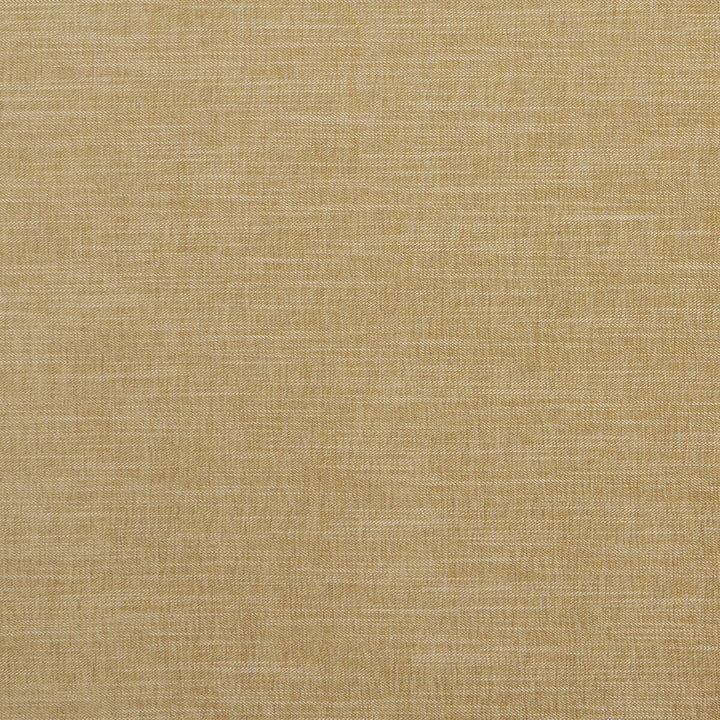 Moray Antique by Clarke And Clarke Fabric CLARKE & CLARKE ALBANY & MORAY POLYESTER - 64%;COTTON - 12%;LINEN - 12%;VISCOSE - 12% India HEAVY Horizontal: 0 and Vertical: 0 55 - Fabric Carolina -