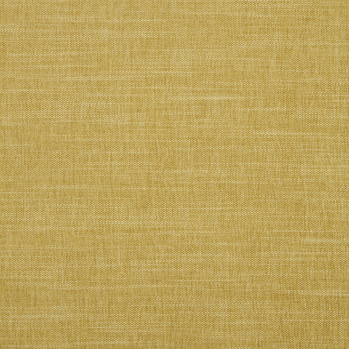 Moray Chartreuse by Clarke And Clarke Fabric CLARKE & CLARKE ALBANY & MORAY POLYESTER - 64%;COTTON - 12%;LINEN - 12%;VISCOSE - 12% India HEAVY Horizontal: 0 and Vertical: 0 55 - Fabric Carolina -