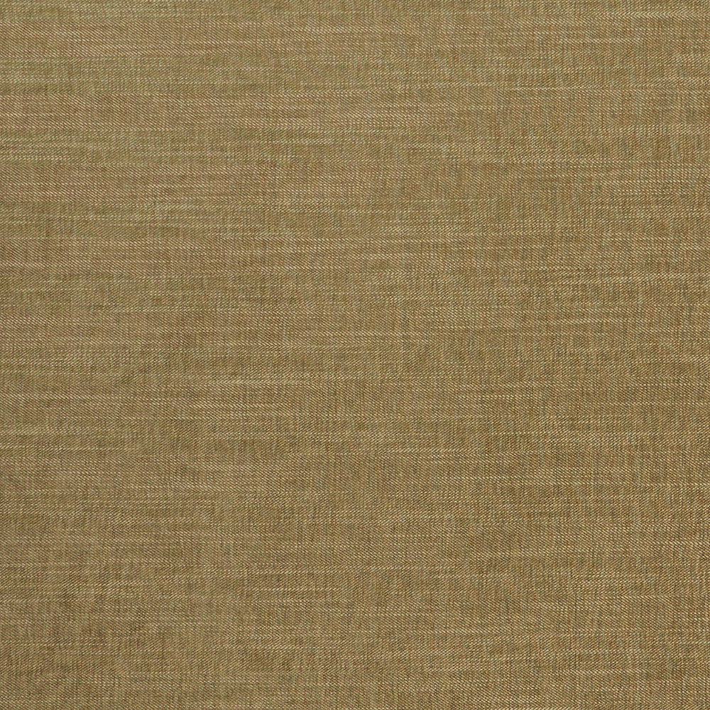 F1099 22 Moray Moss by Clarke and Clarke Fabric CLARKE & CLARKE POLYESTER - 64%;COTTON - 12%;LINEN - 12%;VISCOSE - 12% India HEAVY Horizontal: 0 and Vertical: 0 55  - Fabric Carolina -