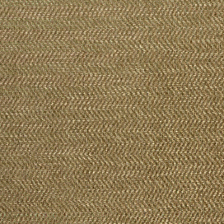 F1099 22 Moray Moss by Clarke and Clarke Fabric CLARKE & CLARKE POLYESTER - 64%;COTTON - 12%;LINEN - 12%;VISCOSE - 12% India HEAVY Horizontal: 0 and Vertical: 0 55  - Fabric Carolina -