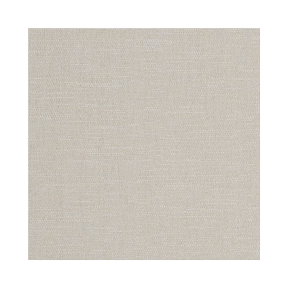 Moray Natural by Clarke And Clarke Fabric CLARKE & CLARKE ALBANY & MORAY POLYESTER - 64%;COTTON - 12%;LINEN - 12%;VISCOSE - 12% India HEAVY Horizontal: 0 and Vertical: 0 55 - Fabric Carolina -