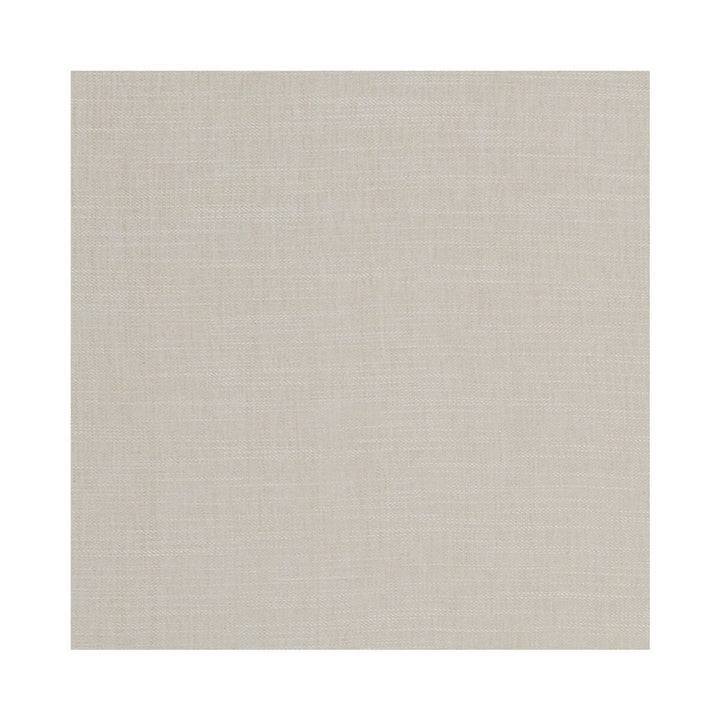 Moray Natural by Clarke And Clarke Fabric CLARKE & CLARKE ALBANY & MORAY POLYESTER - 64%;COTTON - 12%;LINEN - 12%;VISCOSE - 12% India HEAVY Horizontal: 0 and Vertical: 0 55 - Fabric Carolina -