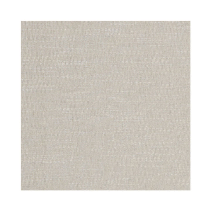Moray Natural by Clarke And Clarke Designer Fabric CLARKE & CLARKE ALBANY & MORAY POLYESTER - 64%;COTTON - 12%;LINEN - 12%;VISCOSE - 12% India HEAVY Horizontal: 0 and Vertical: 0 55 - Swanky Fabrics -