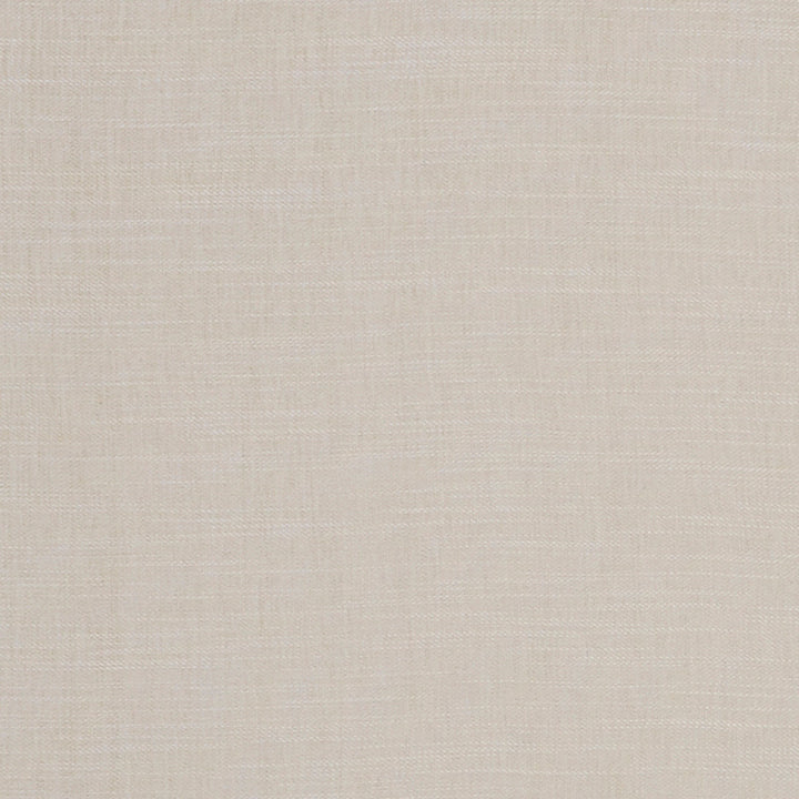 F1099 23 Moray Natural by Clarke and Clarke Fabric CLARKE & CLARKE POLYESTER - 64%;COTTON - 12%;LINEN - 12%;VISCOSE - 12% India HEAVY Horizontal: 0 and Vertical: 0 55  - Fabric Carolina -