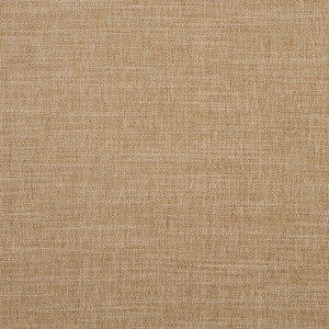 Moray Pecan by Clarke And Clarke Fabric