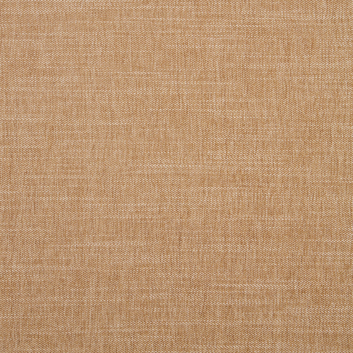 F1099 25 Moray Pecan by Clarke and Clarke Fabric CLARKE & CLARKE POLYESTER - 64%;COTTON - 12%;LINEN - 12%;VISCOSE - 12% India HEAVY Horizontal: 0 and Vertical: 0 55  - Fabric Carolina -