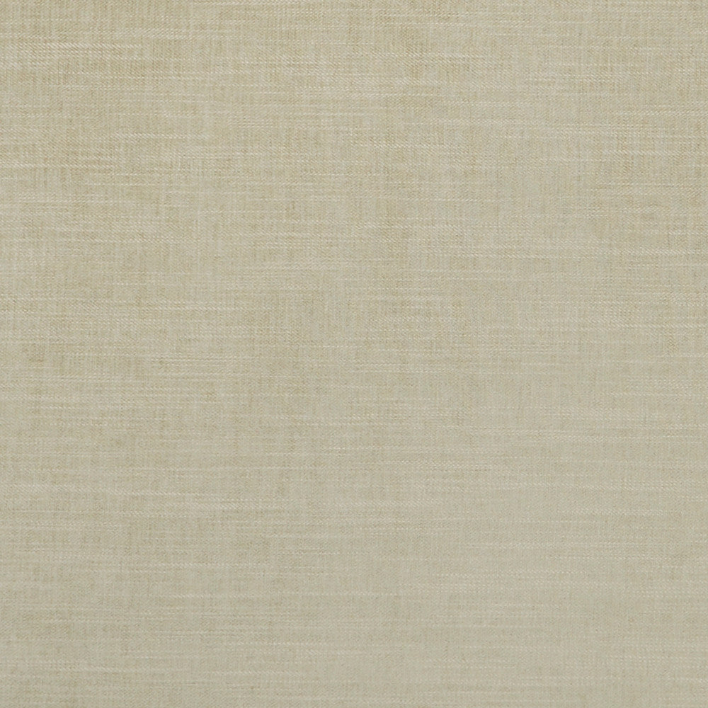 F1099 27 Moray Sage by Clarke and Clarke Fabric CLARKE & CLARKE POLYESTER - 64%;COTTON - 12%;LINEN - 12%;VISCOSE - 12% India HEAVY Horizontal: 0 and Vertical: 0 55  - Fabric Carolina -