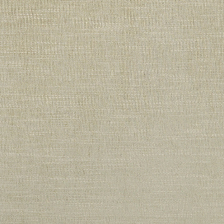 F1099 27 Moray Sage by Clarke and Clarke Fabric CLARKE & CLARKE POLYESTER - 64%;COTTON - 12%;LINEN - 12%;VISCOSE - 12% India HEAVY Horizontal: 0 and Vertical: 0 55  - Fabric Carolina -