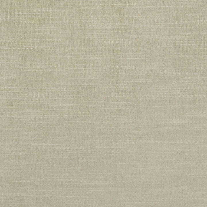 Moray Sage by Clarke And Clarke Designer Fabric CLARKE & CLARKE ALBANY & MORAY POLYESTER - 64%;COTTON - 12%;LINEN - 12%;VISCOSE - 12% India HEAVY Horizontal: 0 and Vertical: 0 55 - Swanky Fabrics -