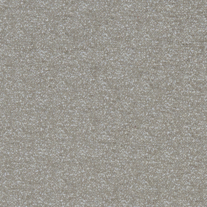 Karya Taupe by Clarke And Clarke Fabric CLARKE & CLARKE OLYMPUS POLYESTER - 100% India HEAVY Horizontal: 0 and Vertical: 0 54 - Fabric Carolina -