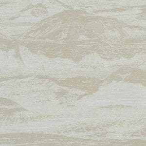 Olympus Cream by Clarke And Clarke Fabric