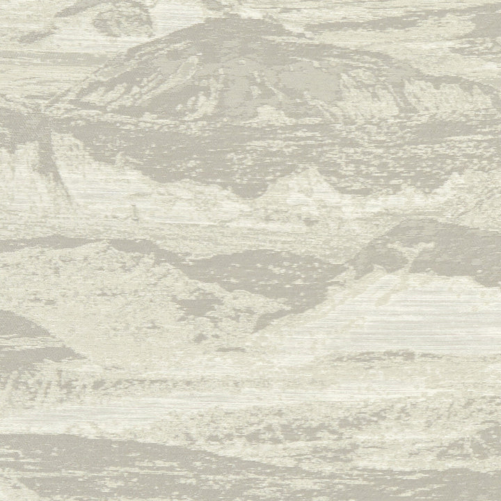 Olympus Pebble by Clarke And Clarke Fabric CLARKE & CLARKE OLYMPUS POLYESTER - 54%;COTTON - 46% India MEDIUM Horizontal: 27.95 and Vertical: 16.14 54 - Fabric Carolina -