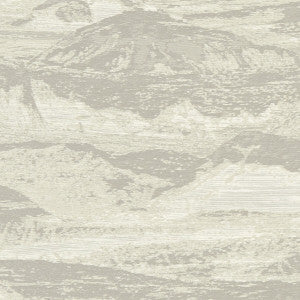 Olympus Pebble by Clarke And Clarke Fabric