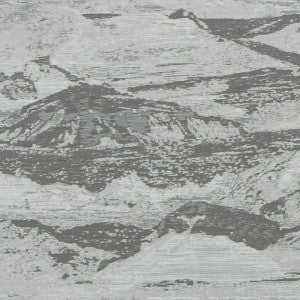 Olympus Silver by Clarke And Clarke Fabric