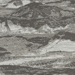 Olympus Smoke by Clarke And Clarke Fabric