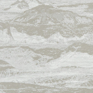 Olympus Taupe by Clarke And Clarke Fabric