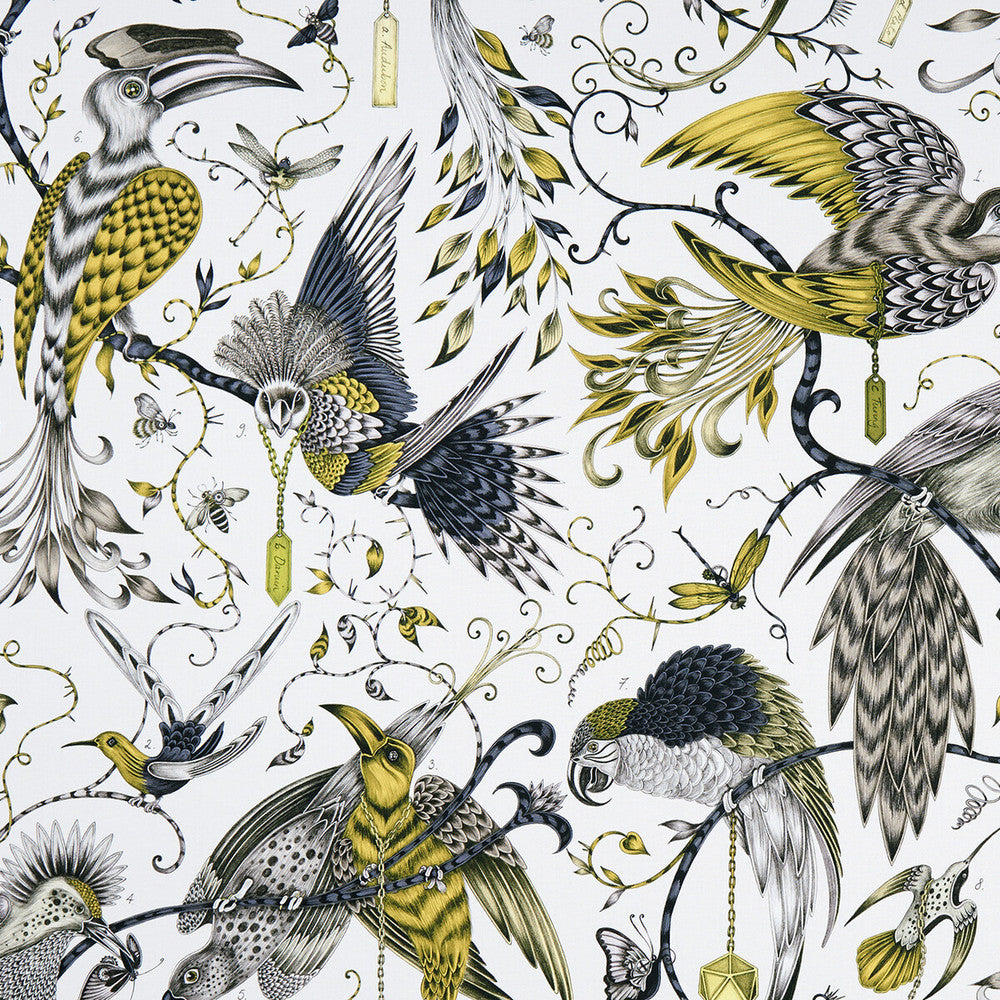 Audubon Gold by Clarke And Clarke Fabric ANIMALIA BY EMMA J SHIPLEY FOR C&C COTTON - 100% United Kingdom HEAVY Horizontal: 54.33 and Vertical: 26.97 54 - Fabric Carolina -
