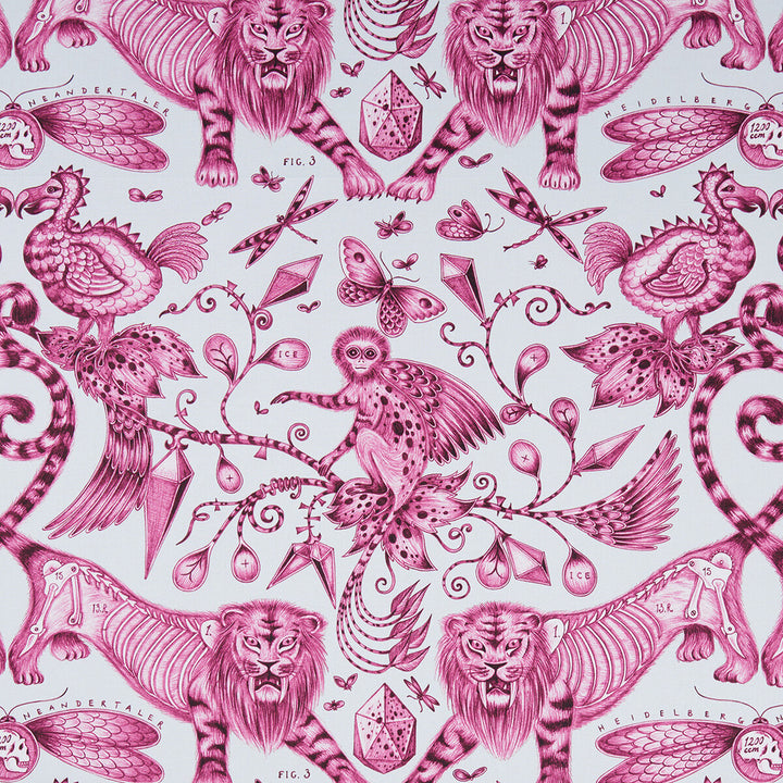 Extinct Magenta by Clarke And Clarke Fabric Clarke And Clarke Fabric Extinct MagentaFabric ANIMALIA BY EMMA J SHIPLEY FOR C&C COTTON - 100% United Kingdom </p><p>Repeat: H: 27.17, V: 22.24 54 - Fabric Carolina -