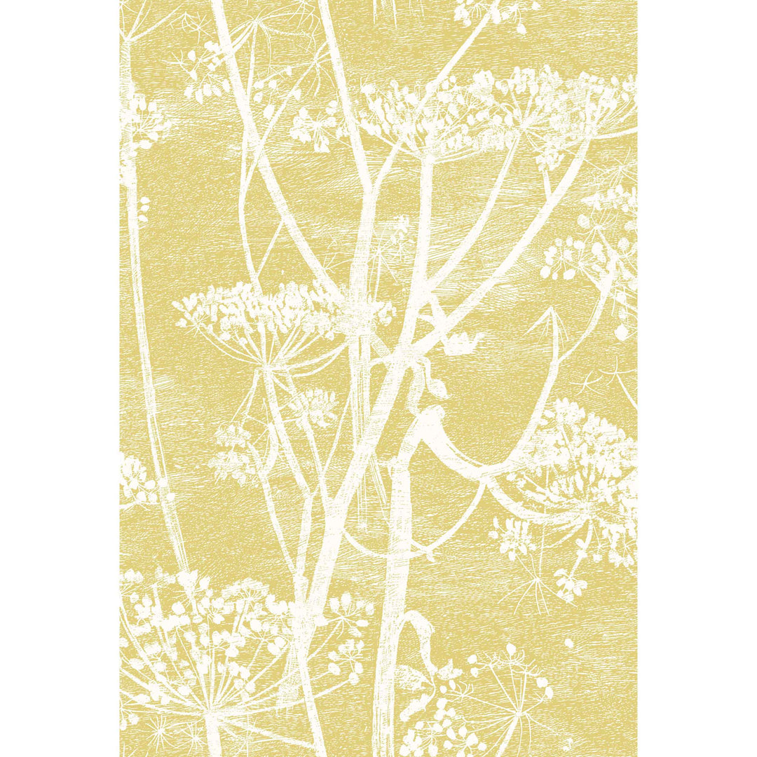 Color Box Velvet - Hydrangea By Cole & Son Fabric