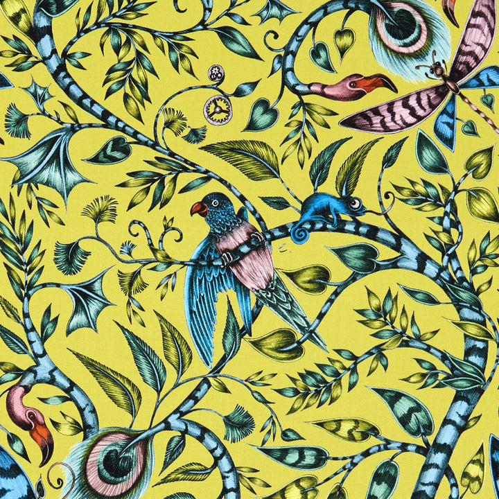 Rousseau Lime by Clarke And Clarke Fabric ANIMALIA BY EMMA J SHIPLEY FOR C&C COTTON - 100% United Kingdom HEAVY Horizontal: 13.58 and Vertical: 26.97 54 - Fabric Carolina -