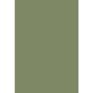 Colour Box Velvet Olv Grn by Cole & Son Fabric